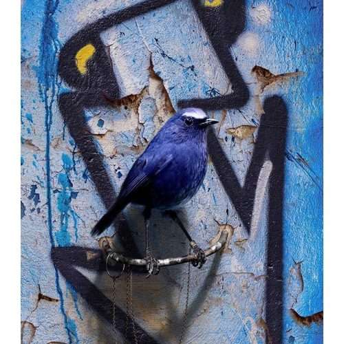 Mat Collishaw Gasconade. Wiseguy Private Collection Art