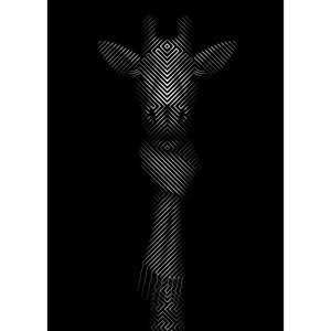 Giraffe in Scarf-Tim Christie