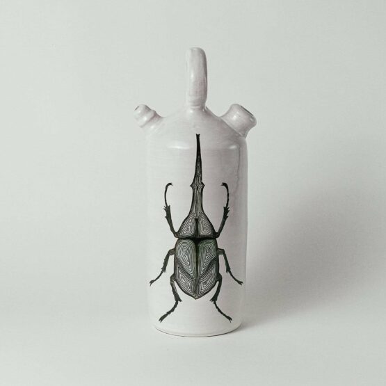 Weevil Botijo-Micuit Collection
