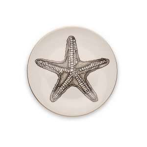 Micuit – Starfish Small Plate