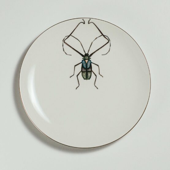 Harlequin beetle dinner plate