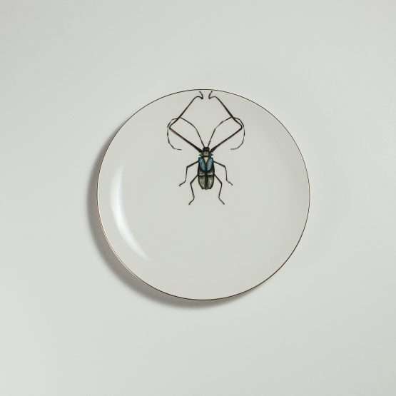 Harlequin beetle dessert plate