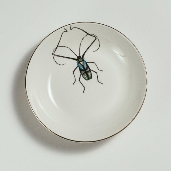 Harlequin beetle soup plate
