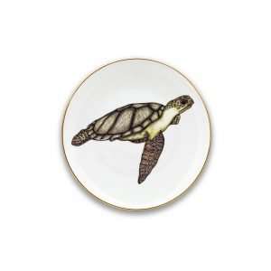 Micuit – Turtle Small Plate